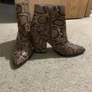 Snakeskin Steve Madden booties